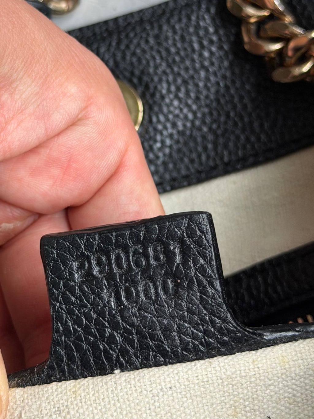 Gucci bag